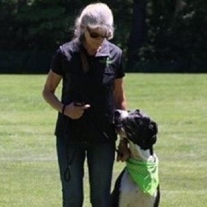 Meet your Posher, Nancy